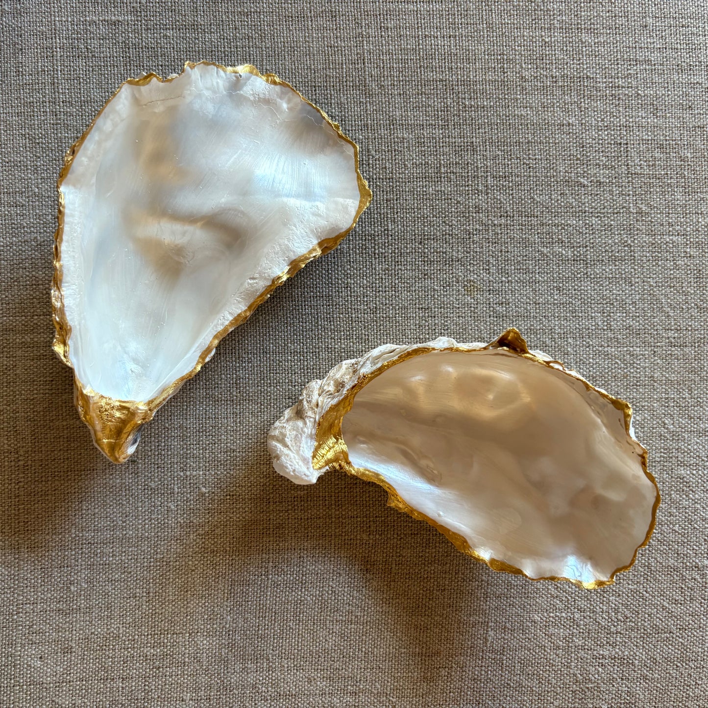 Limited Edition - Oyster Shell